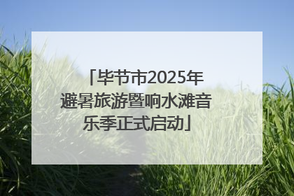 毕节市2025年避暑旅游暨响水滩音乐季正式启动